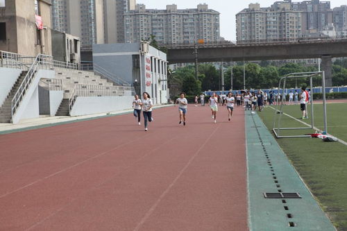 物交院上演趣味素质拓展 体验式活动策划与精彩瞬间