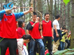 山美特 深耕体验式拓展训练，赋能团队成长的专业领航者