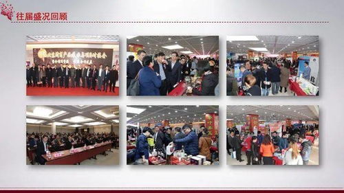 会企联动促发展，闽韵京华贺新春——第二届北京闽商产品展示与项目对接会暨京福街年货节发布会及体验式拓展活动侧记